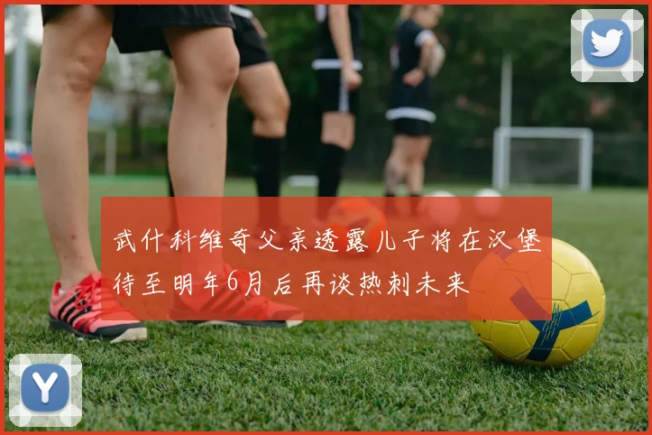 武什科维奇父亲透露儿子将在汉堡待至明年6月后再谈热刺未来